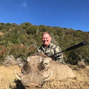 South Africa Hunt Warthog