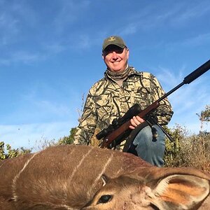 Kudu Cow Hunting South Africa