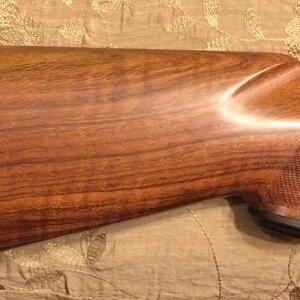 American Hunting Rifles DGR in .458 Lott