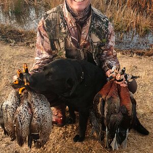 Ducks and Retrievers South Africa