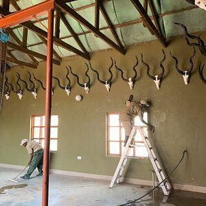 Our skinning room at Mbizi