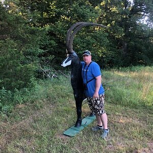 Sable Antelope Bow Hunting Target