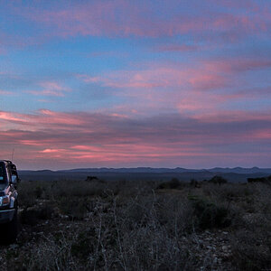 Hunting Vehicle South Africa