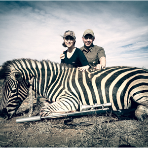 South Africa Hunt Burchell's Plain Zebra