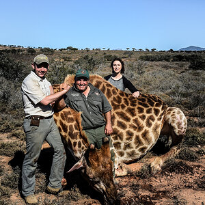 Giraffe Hunting South Africa