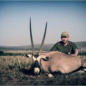 Gemsbok