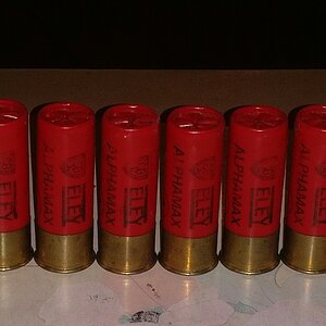 Eley Alphamax LG shells