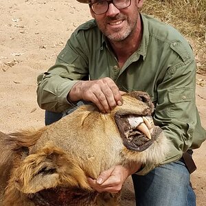 Lion Hunt Cameroon