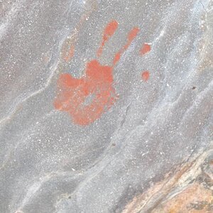 Rock Paintings