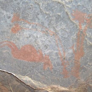 Rock Paintings