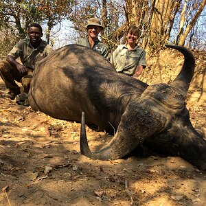 Hunt Cape Buffalo