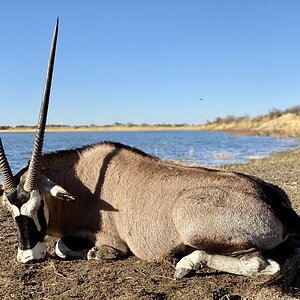 Namibia Hunt Gemsbok