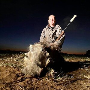 Warthog Hunt South Africa