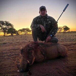 Hunting Warthog in South Africa