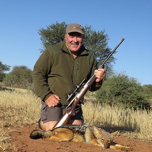 Hunt Jackal in South Africa