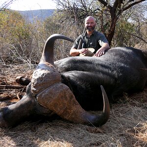 Cape Buffalo Hunt South Africa