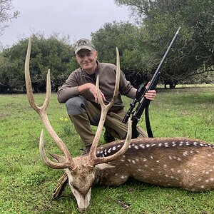 Axis Deer Hunt Argentina