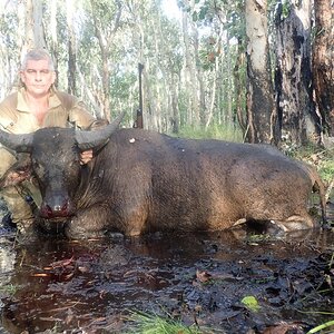 Australia Hunting Asiatic Water Buffalo