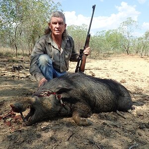 Hunt Boar in Australia