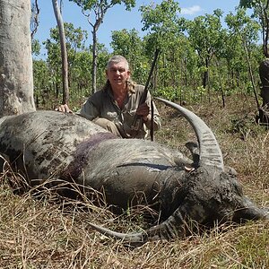 Asiatic Water Buffalo Hunting Australia