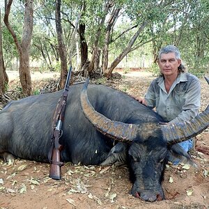 Asiatic Water Buffalo Hunt Australia