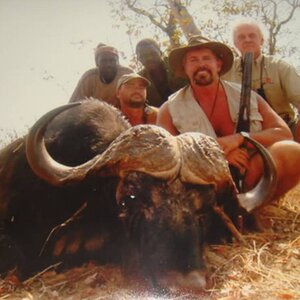 Cape Buffalo Hunt