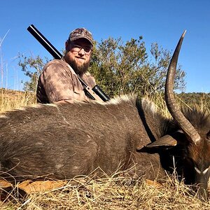 Hunt Nyala in South Africa