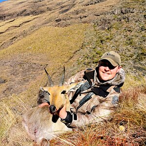 Mountain Reedbuck Hunting South Africa