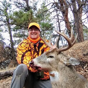 USA Hunt White-tailed Deer