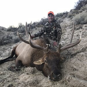 Elk Hunting USA