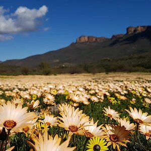 West Coast and Namaqualand Tour South Africa