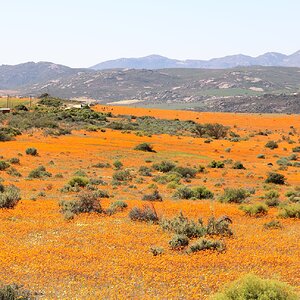 West Coast and Namaqualand Tour South Africa