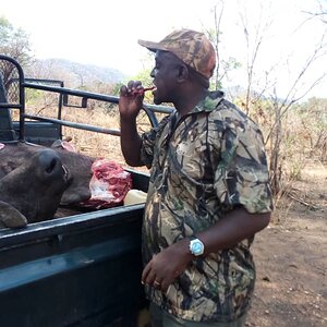 Buffalo Hunt Zambia