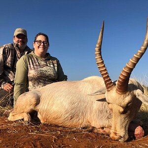 White Blesbok Bow Hunt South Africa