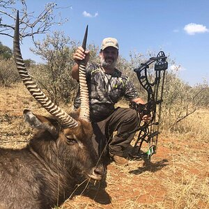 South Africa Bow Hunting Waterbuck