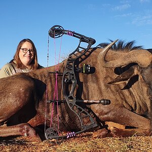 Blue Wildebeest Bow Hunting South Africa