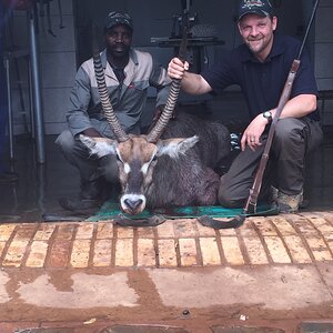 Hunting Waterbuck in South Africa