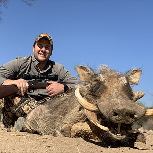 South Africa Hunting Warthog