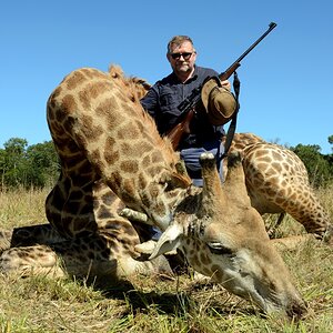 South Africa Hunt Giraffe