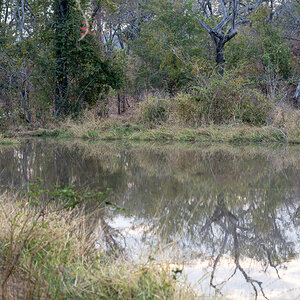 Dams to catch up seeping water out of the ground