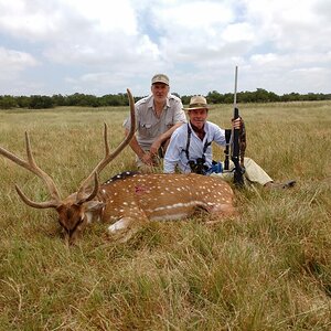 Argentina Hunting Axis Deer