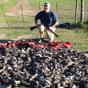 Dove Wing shooting Argentina