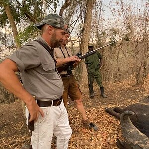 Zambia Hunting Buffalo