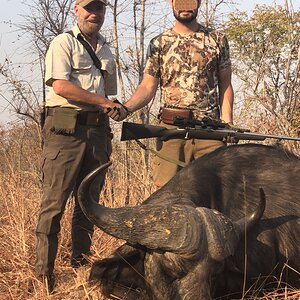 Buffalo Hunt Zambia