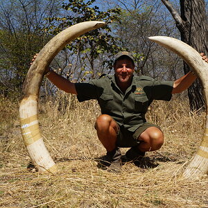 Hunt Elephant in Namibia