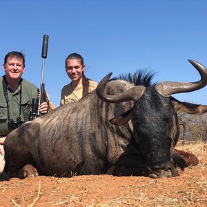 Blue Wildebeest Hunt South Africa