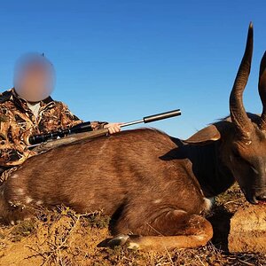 Hunt Bushbuck in South Africa