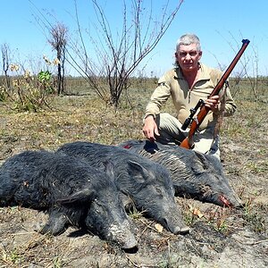 Australia Hunt Boar