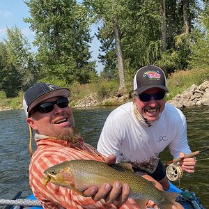 Brown Trout Fly Fishing Montana USA