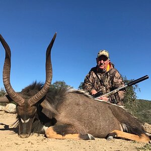 Nyala Hunting South Africa